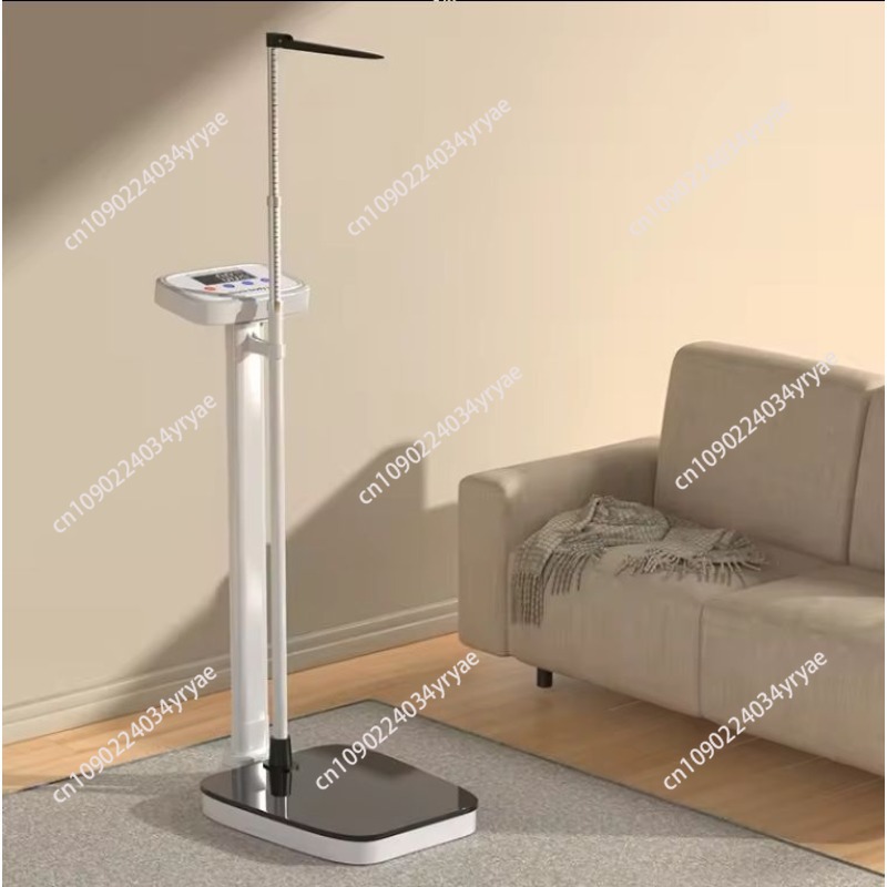 Smart body scale connection AP - Digital Body Weight Scale 评论和价格