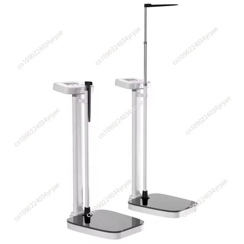 Smart body scale connection AP - Digital Body Weight Scale 评论和价格