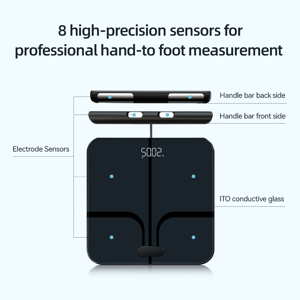 Smart Body Weight Scales 2024  - Digital Body Weight Scale 评论和价格