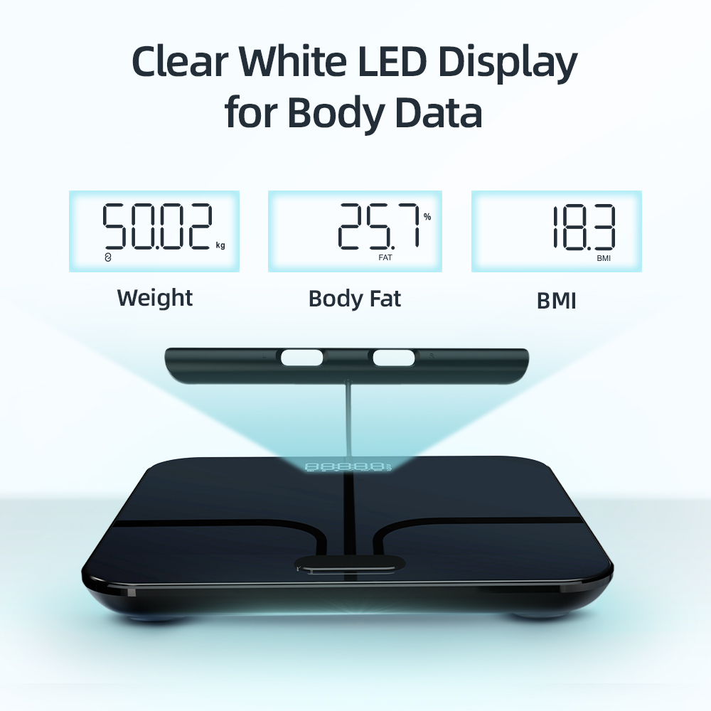 Smart Body Weight Scales 2024  - Digital Body Weight Scale 评论和价格