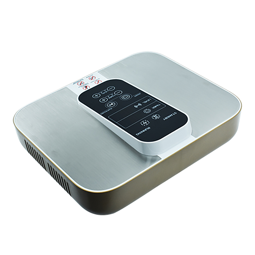 Terahertz PEMF Foot Massager B - Health Wellness Energy 评论和价格
