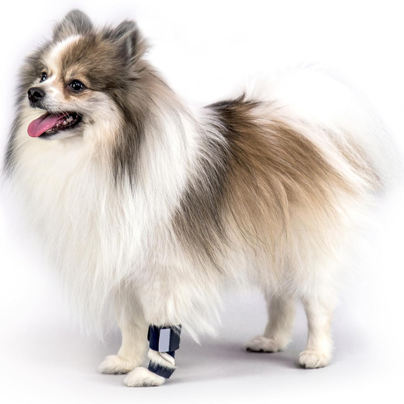 Carpal Hyperextension Dog Brac - Ankle Brace Support 评论和价格
